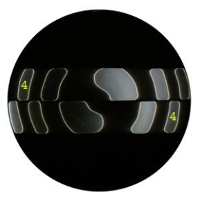 Schattenprobe